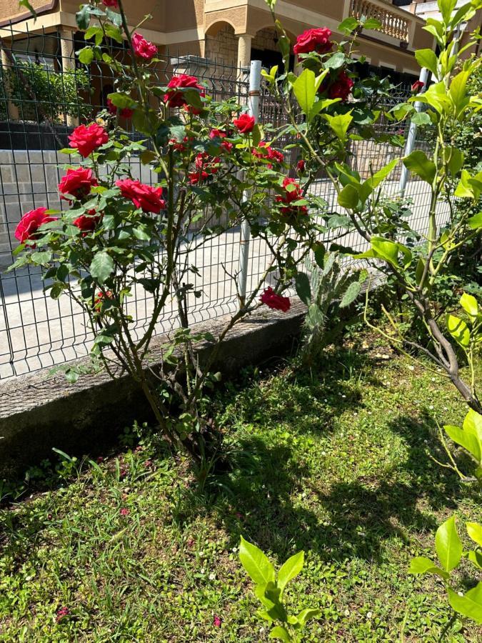 Holiday Home Vesna Budva Ngoại thất bức ảnh